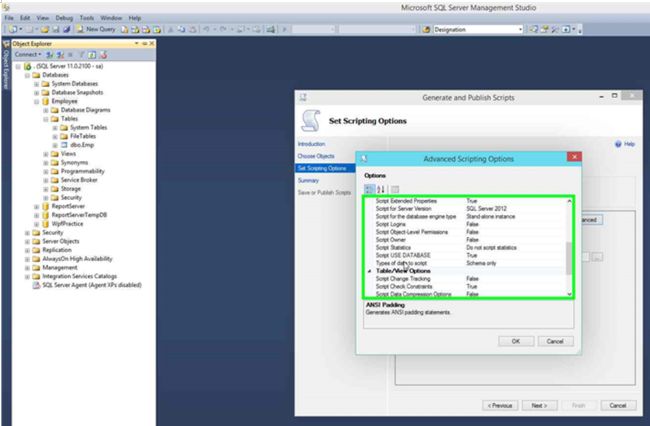 advance script option